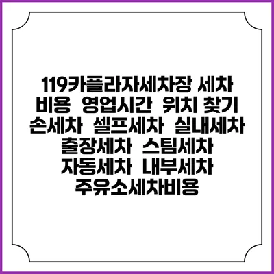 119카플라자세차장 세차 비용 | 영업시간 | 위치 찾기 | 손세차 | 셀프세차 | 실내세차 | 출장세차 | 스팀세차 | 자동세차 | 내부세차 | 주유소세차비용